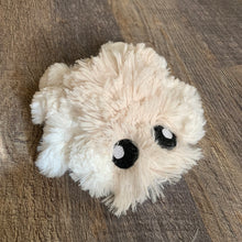 Load image into Gallery viewer, Shaggy Ivory Spider