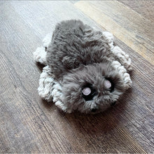 Load image into Gallery viewer, Itty Bitty Barn Spider Preorder