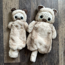 Load image into Gallery viewer, Little Cream and beige Kitten