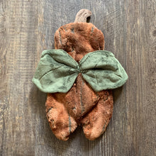 Load image into Gallery viewer, Rust Pumpkin Fall Fairy Sprite