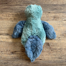 Load image into Gallery viewer, Spix Macaw Preorder