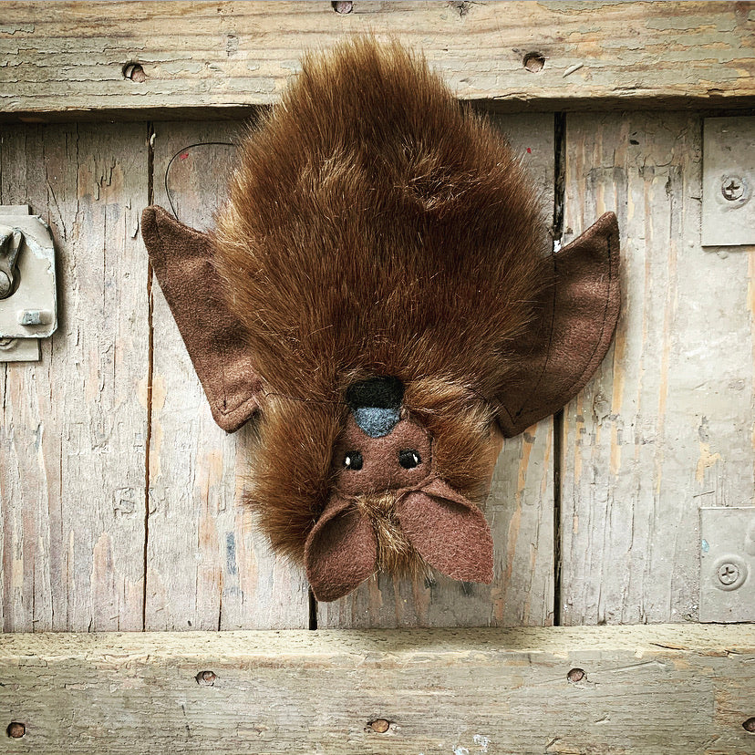 Itty Bitty Brown Flying Fox