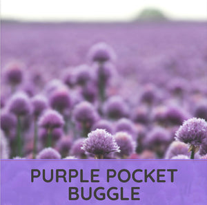 Purple Mystery Pocket Buggle