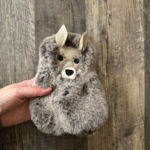 Teeny Kangaroo