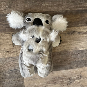 Kiki the Koala